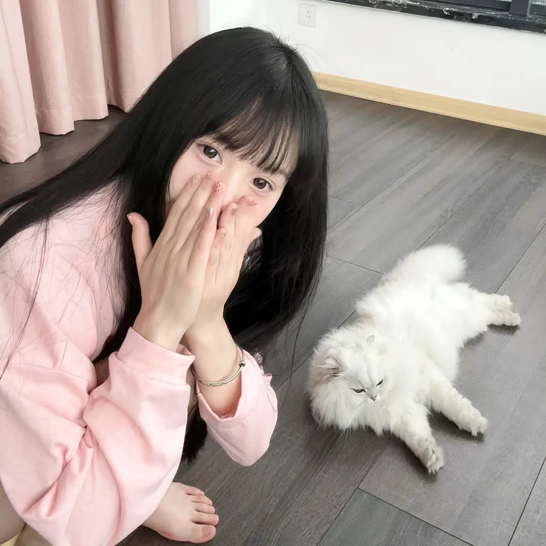 隐形红翼